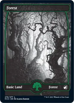 Foil - Forest (276) - 276 / NM / English MTG - Image 1
