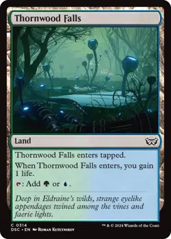 Thornwood Falls - 314 / English / Near Mint MTG - Image 1