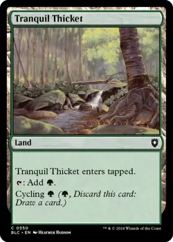 Tranquil Thicket - 350 / English / Near Mint MTG - Image 1
