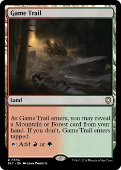Game Trail - 306 / English / Near Mint MTG - Image 1