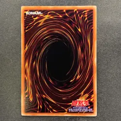 NM 3 card Blue Eyes Toon Dragon PGB1-JP020 Millennium Rare YuGiOh 300 - Image 5