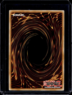 YuGiOh! - Chaos Goddess - 1st Edition - TSHD-EN044 - Secret Rare - NM - Image 2