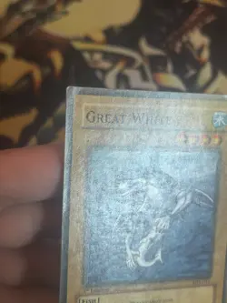 Yugioh: Great White - SDY-041 - Common - 1st Edition - HP - Image 3