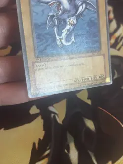 Yugioh: Great White - SDY-041 - Common - 1st Edition - HP - Image 5
