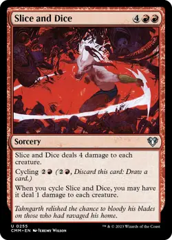 Slice and Dice - 255 / English / Near Mint MTG - Image 1