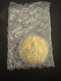 YuGiOh YCS WCQ Dark magician girl Gold coin - Image 3