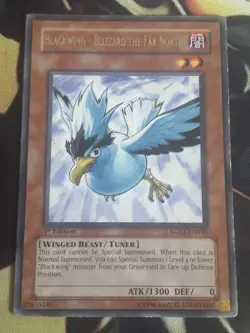 Yugioh: Blackwing - Blizzard the Far North - RGBT-EN010 - Rare - 1st Edition HP - Image 1