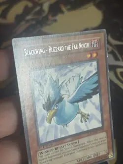 Yugioh: Blackwing - Blizzard the Far North - RGBT-EN010 - Rare - 1st Edition HP - Image 3