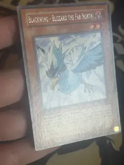 Yugioh: Blackwing - Blizzard the Far North - RGBT-EN010 - Rare - 1st Edition HP - Image 4