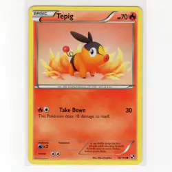 Pokemon TCG Tepig 16/114 BW Base Set Regular Common Card EN-LP 2011 - Image 1
