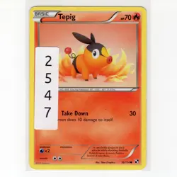 Pokemon TCG Tepig 16/114 BW Base Set Regular Common Card EN-LP 2011 - Image 3