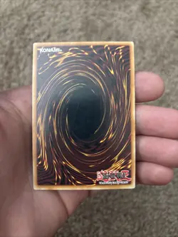 Yugioh Blackwing Elphin The Raven CT06-ENS01 Secret Rare Limited Edition NM - Image 3