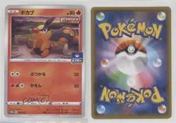 Tepig (Pokemon Card Gym Promo Pack 5) Japanese Sword & Shield S-P tional s 17nq - Image 3