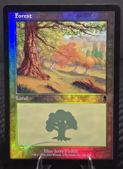 Magic the Gathering Odyssey Foil Lands - Forest, Swamp, Plains - Near Mint - MTG - Image 1