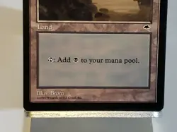 MTG Swamp Tempest Regular Land Magic - Image 3