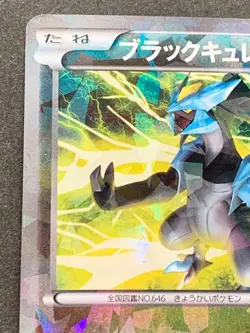 Pokemon card Black Kyurem 216/BW-P Promo 2013 Pokemon TCG Japanese Holo Rare - Image 2