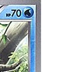 Pokemon Panpour 014/034 HSP Beginning Set DX Pikachu Version Japanese Card - Image 4