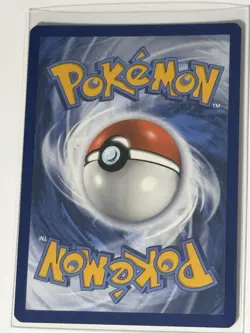 Phanpy SWSH117 - Pokemon TCG Sword & Shield Black Star Promo Holo Rare Card - NM - Image 2