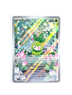 Petilil 091/086 Illustration Rare Holo Black Bolt POKEMON TCG S&V BLK EN NM/M - Image 1