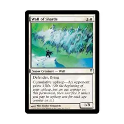 WOTC MtG Coldsnap Wall of Shards (U) EX - Image 1