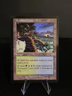 Magic the Gathering Yavimaya Coast - Apocalypse - Rare - Near Mint - MTG - Image 1