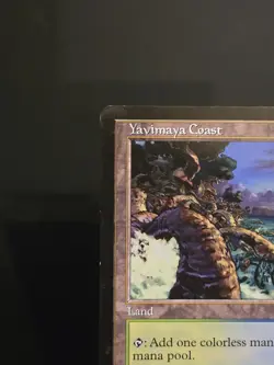 Magic the Gathering Yavimaya Coast - Apocalypse - Rare - Near Mint - MTG - Image 3