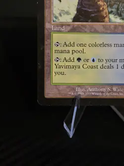 Magic the Gathering Yavimaya Coast - Apocalypse - Rare - Near Mint - MTG - Image 4