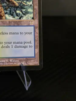 Magic the Gathering Yavimaya Coast - Apocalypse - Rare - Near Mint - MTG - Image 5