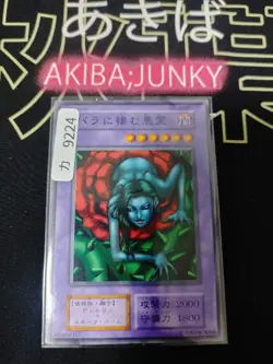 Rose Spectre of Dunn Yu-Gi-Oh Yugioh Retro Card Original UNCENSORED JAPAN HP - Image 4
