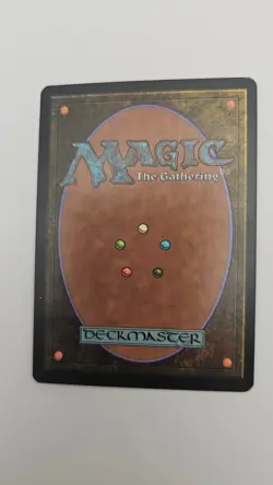 MP 1x Nath of the Gilt-Leaf - Lorwyn - MTG - Image 2