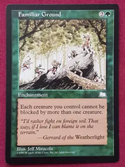 Magic The Gathering WEATHERLIGHT FAMILIAR GROUND green card MTG - Image 1