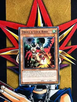 SR14-EN023 Droll & Lock Bird Common 1st Edition NM Yugioh Card - Image 1