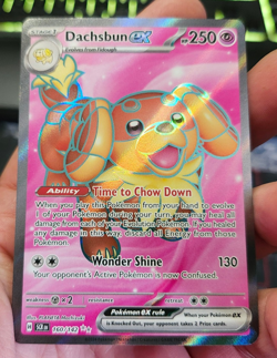 Pokemon Card - Dachsbun EX 160/142 S&V Stellar Crown Holo - Ultra Rare - NM - Image 2