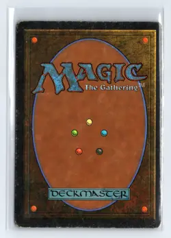 ORDER OF THE WHITE SHIELD - MTG Magic the Gathering Card - Ice Age - Uncommon - Image 2