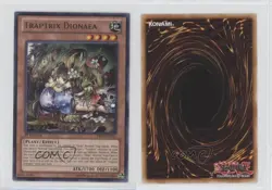 Traptrix Dionaea 1st Ed. YuGiOh Primal Origin #PRIO-EN025 ds6 - Image 3
