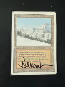 Taiga - HP - Unlimited - MTG - Artist Signed - Autographed- Rob Alexander - Image 1