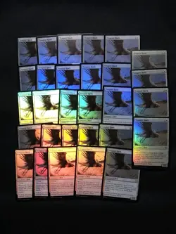 MTG Tempest Hawk FOIL 29x NM-LP Tarkir: Dragonstorm TDM English - Image 1