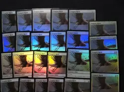 MTG Tempest Hawk FOIL 29x NM-LP Tarkir: Dragonstorm TDM English - Image 2