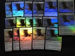 MTG Tempest Hawk FOIL 29x NM-LP Tarkir: Dragonstorm TDM English - Image 3