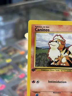 Caninos First Edition Base Set French Pokemon - Image 3