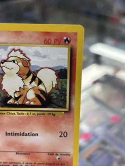 Caninos First Edition Base Set French Pokemon - Image 4