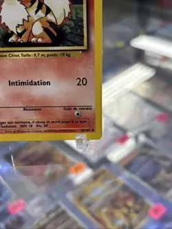 Caninos First Edition Base Set French Pokemon - Image 5