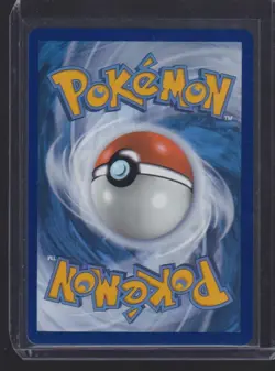 2023 POKEMON CHARIZARD EX BLACK STAR PROMO #056 HOLO - Image 2