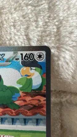 Pokemon Squawkabilly ex 264/193 Paldea Evolved Special Illustration Rare Holo NM - Image 3