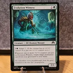 MTG Evolution Witness Modern Horizons 3 Set Common #151 NM Fresh Pull No Play - Image 1