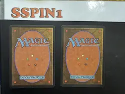 MTG Signed Jesper Myrfors Pestilence, Cursed Land Revised - Image 2