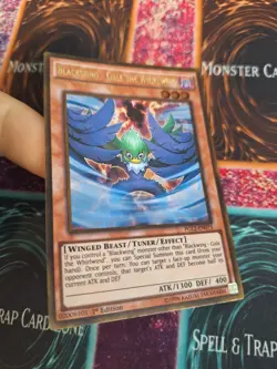 Yugioh Blackwing - Gale the Whirlwind PGL2-EN073 Gold Rare 1st Edition Near Mint - Image 2