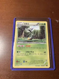 Pokemon 2013 샤로다 Illus. hatachu 004/093 (Japanese) Pokemon TCG Card - Image 1