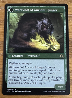 MTG Shadows Over Innistrad, Sage of Ancient Lore / Werewolf -- Light Played - Image 2