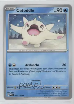 Cetoddle Pokemon SV02: Paldea Evolved #053 z6b - Image 1